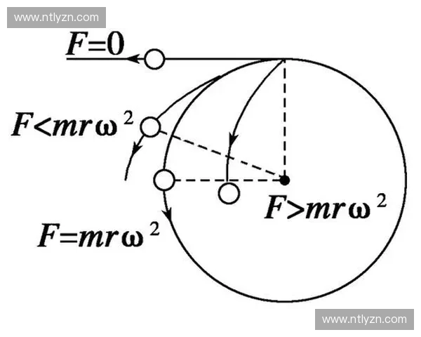 基于运动表现评估的综合分析与应用探索